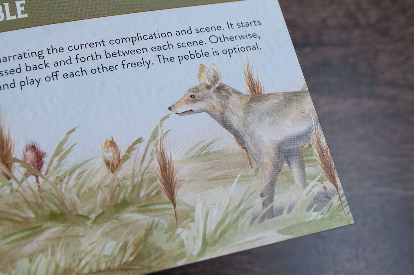 Badger + Coyote